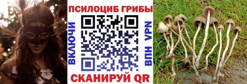 Псилоцибиновые грибы ЛСД  наркотики  Певек 