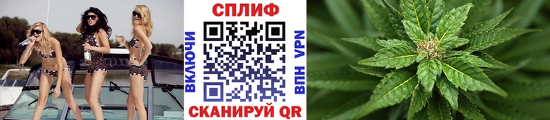закладки  Певек  Каннабис гибрид 